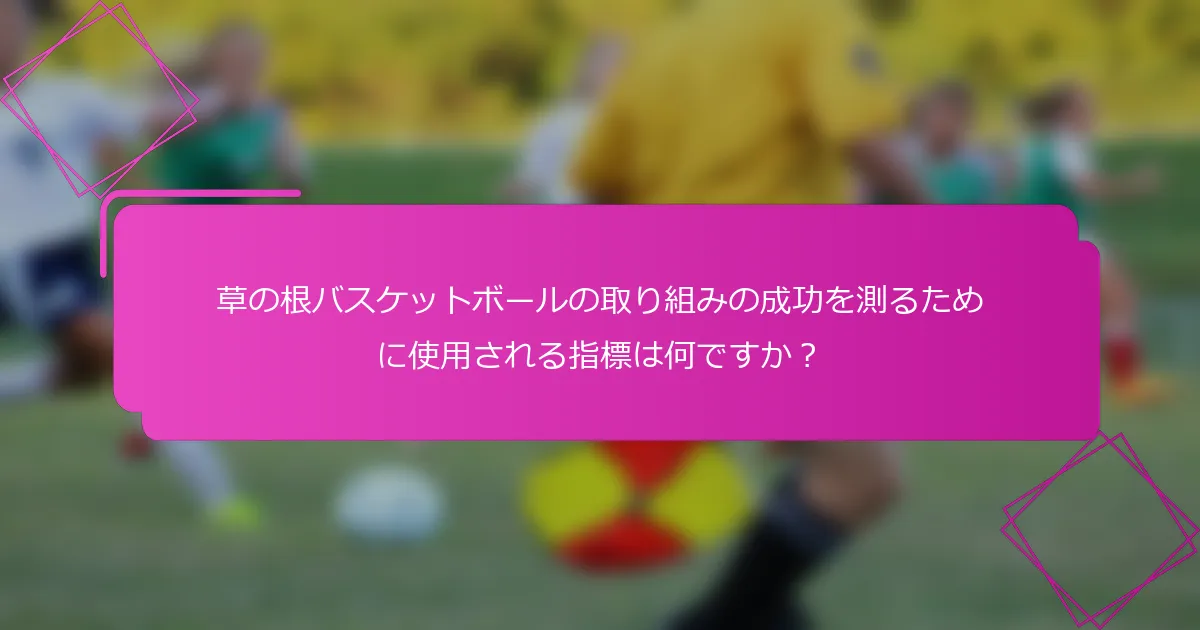 草の根バスケットボールの取り組みの成功を測るために使用される指標は何ですか？